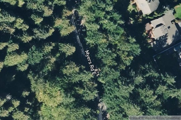 Photo of FOREST VIEW