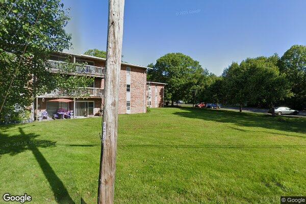 Photo of SPRINGHAVEN LP