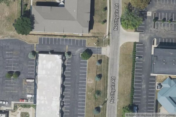 Photo of LAUREL GREEN