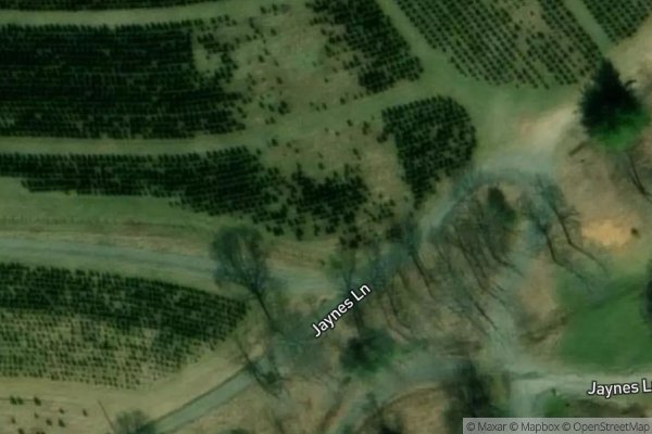 Photo of PINE RIDGE