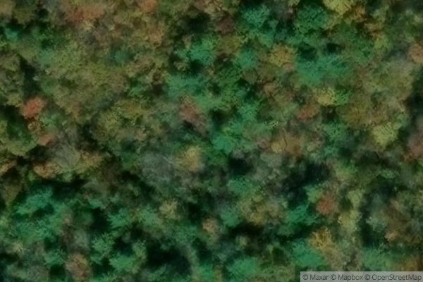 Photo of WALDEN RIDGE