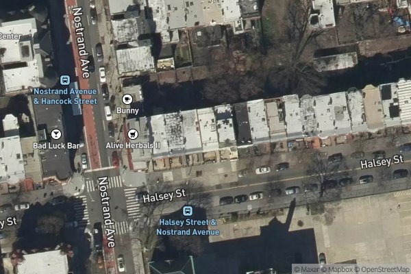 Photo of JEFFERSON CLUSTER (103 HALSEY ST)