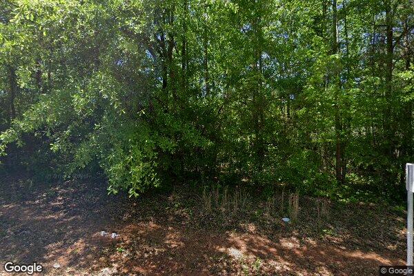 Photo of FOXWORTH FOREST