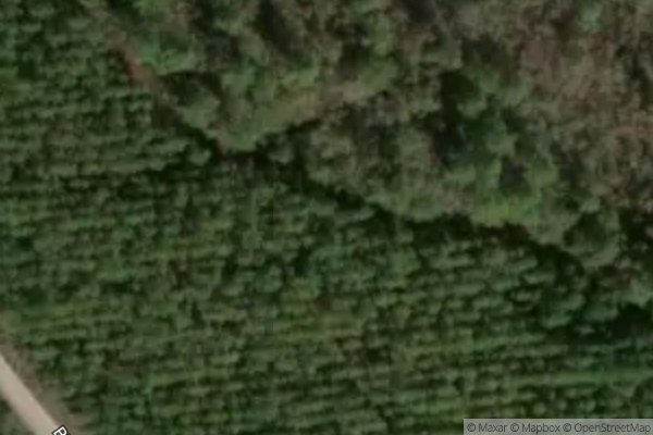 Photo of SANDALWOOD TERRACE