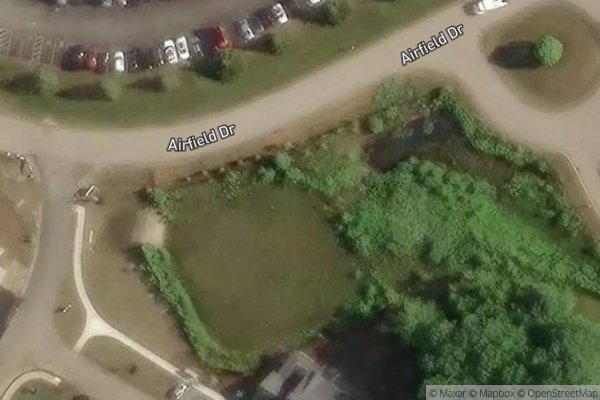 Photo of WHITE BIRCH