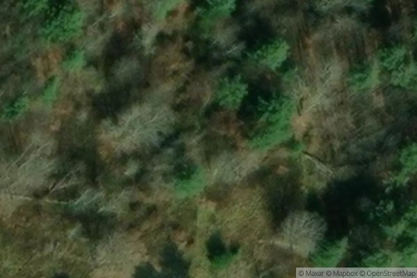 Photo of GOLDEN RIDGE