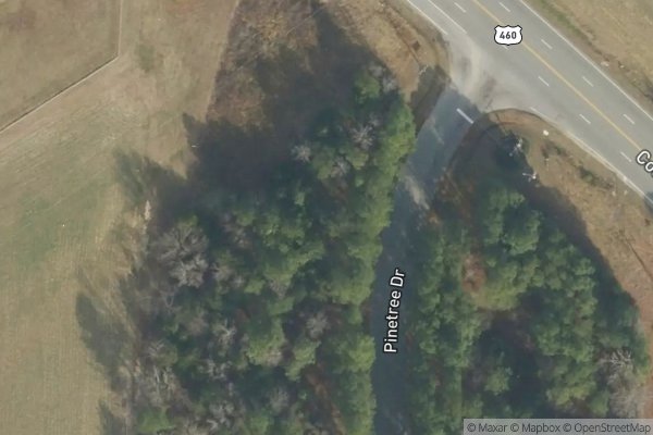 Photo of PINETREE