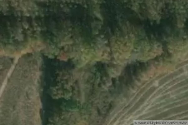 Photo of Cottonwood Glen