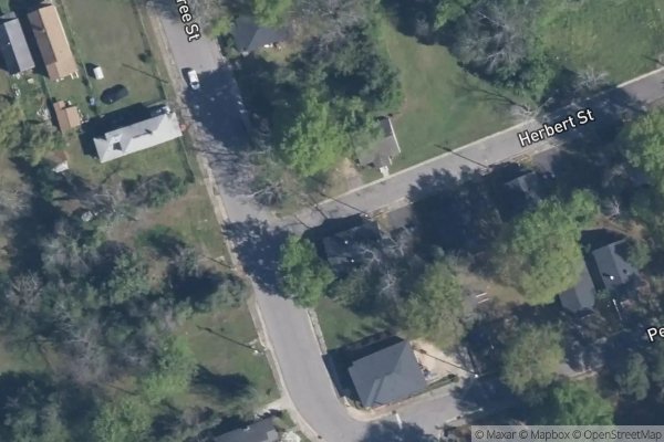 Photo of TREE STREET