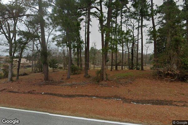 Photo of HIDDEN FOREST