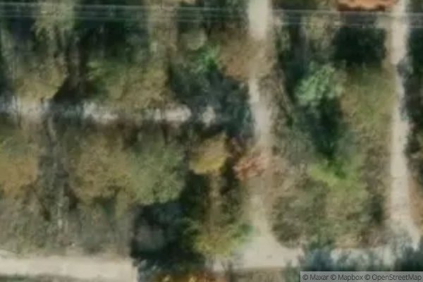 Photo of NEX