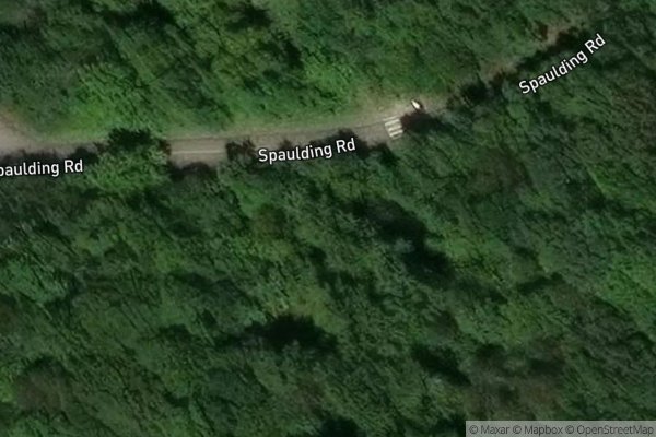 Photo of SPAULDING WOODS II