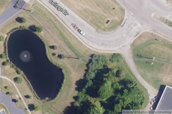 Photo of DIMMITT WOODS