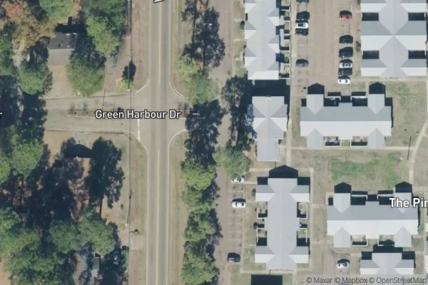 Photo of PINES APTS