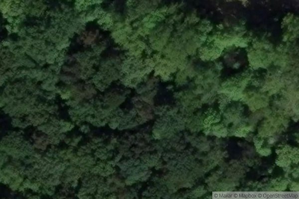 Photo of OLD OAK PLAINS