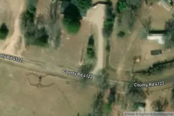 Photo of FOREST TRAILS