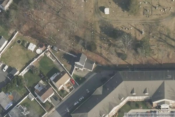 Photo of SPRUCE SENIOR