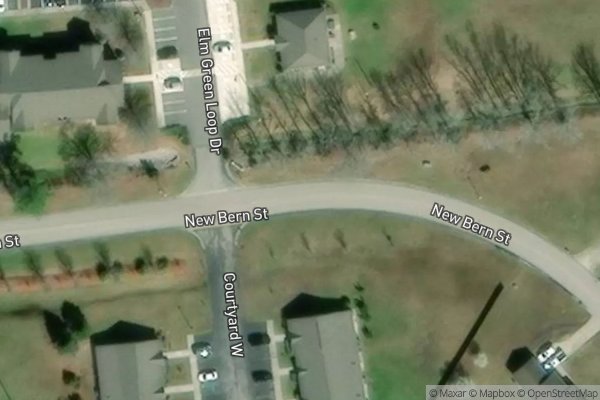 Photo of ELM GREEN
