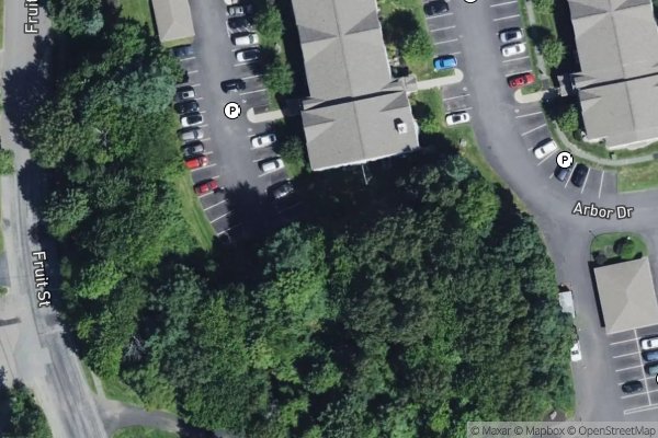 Photo of TOWN ARBOR