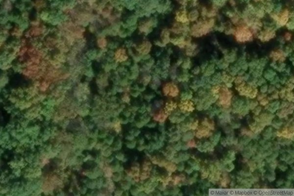 Photo of STONERIDGE I