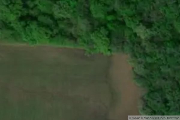 Photo of WOODLAWN APTS