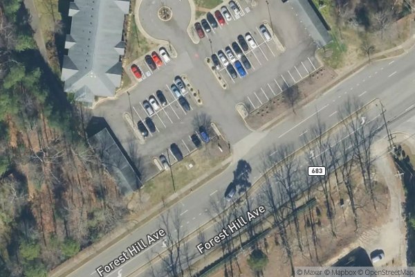 Photo of ARBORS