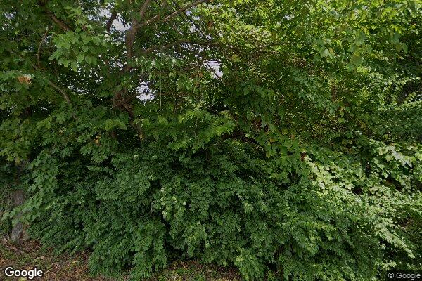 Photo of Azalea Gardens