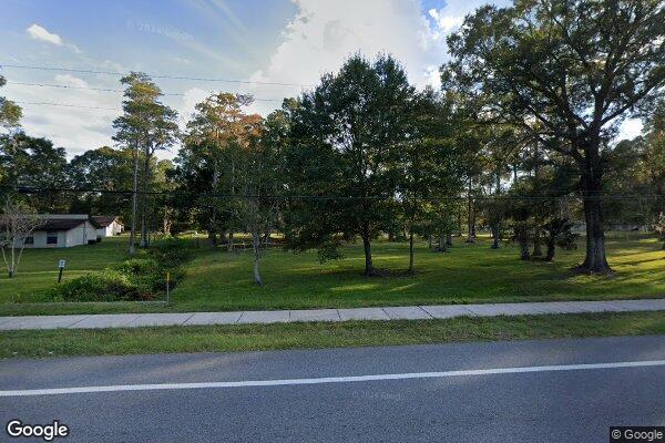 Photo of PINE FOREST II