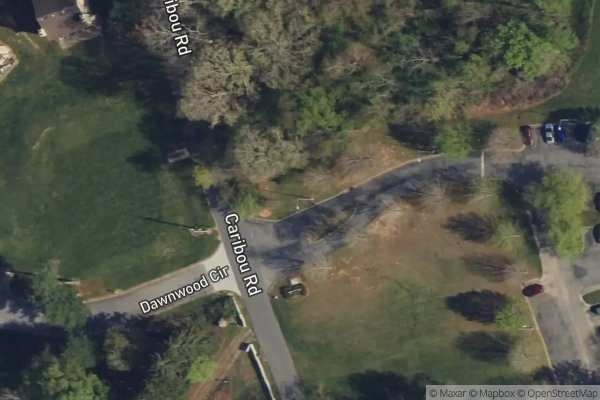 Photo of LAUREL WOOD