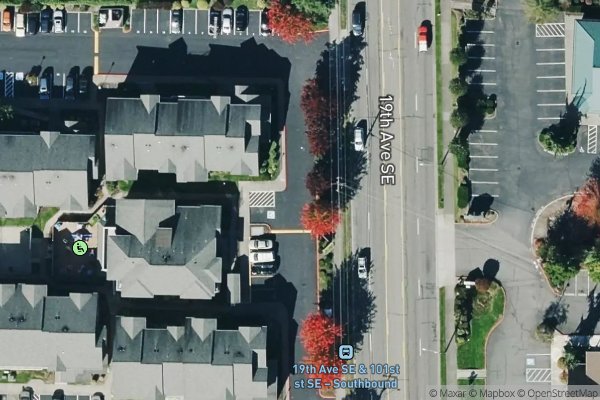 Photo of FAMILY TREE + LINCOLN WAY