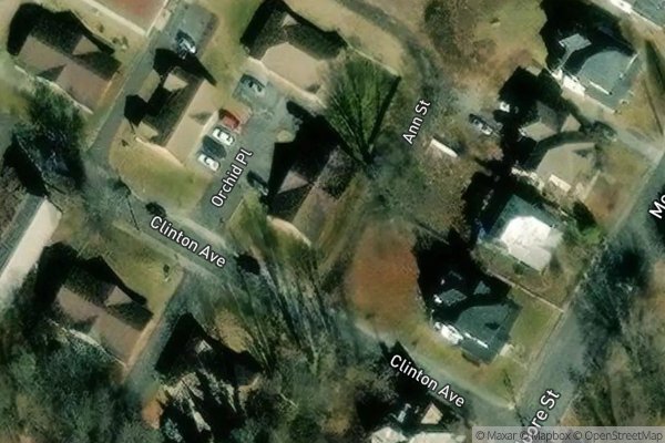 Photo of SAPLING GROVE