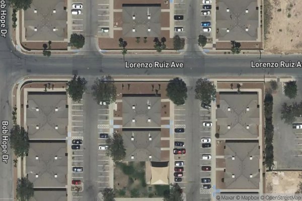 Photo of AMERICAS PALMS
