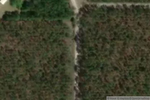 Photo of SUWANNEE POINTE