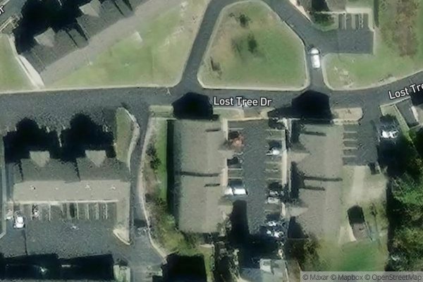 Photo of LOST TREE SOUTH