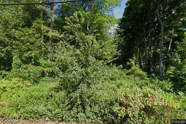 Photo of WHISPERING PINES