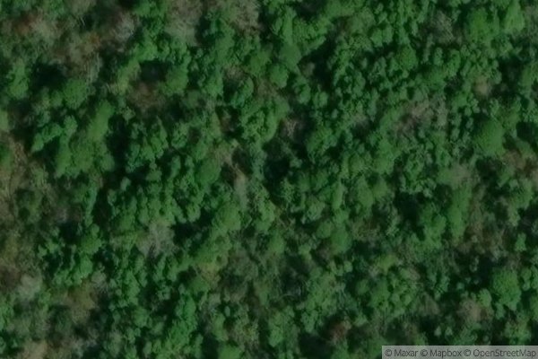 Photo of GASTON BOULEVARD