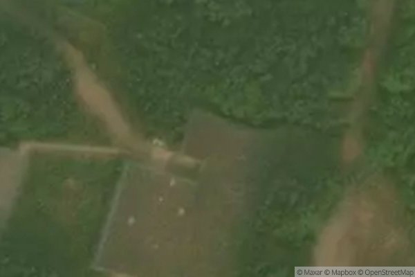 Photo of RIVERWOOD PINES