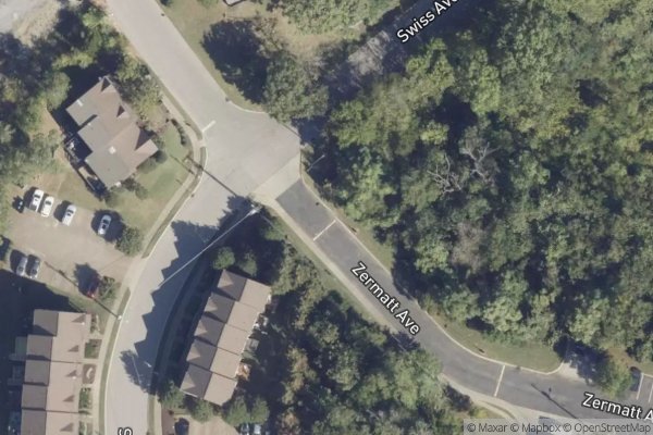 Photo of SWISS VIEW APTS