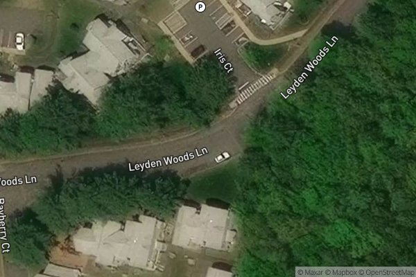 Photo of NEW LEYDEN WOODS