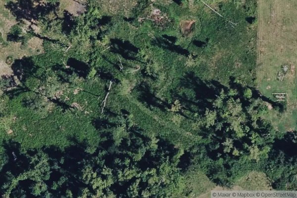 Photo of JEFFERSON GROVE