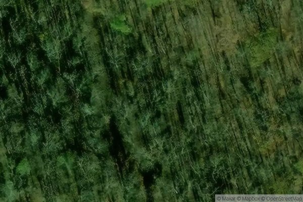Photo of OAK GROVE VILLAGE
