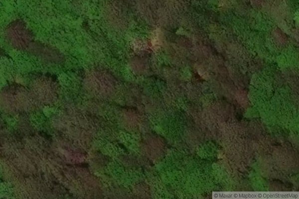 Photo of RIVER TURN WOODS