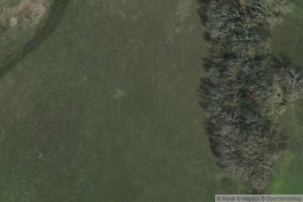 Photo of PALLADIUM FARMERSVILLE