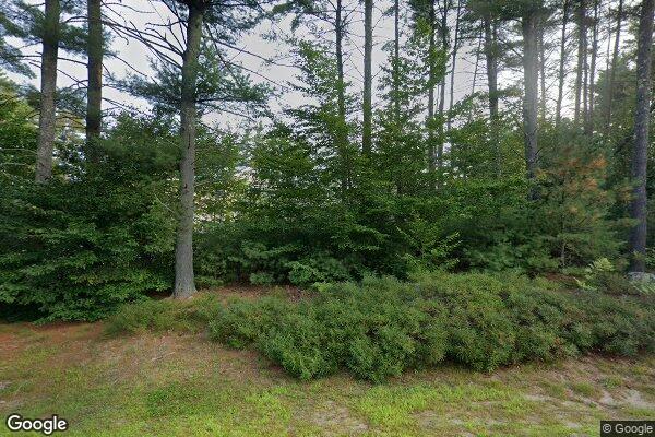 Photo of CONWAY PINES
