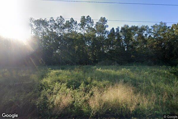 Photo of WAKULLA TRACE