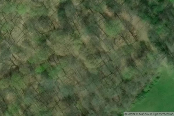 Photo of MILTON PLACE LTD