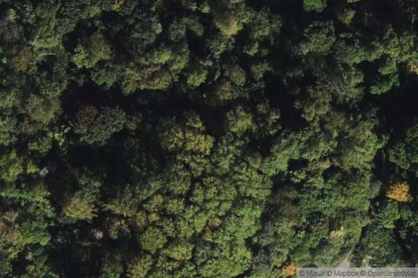 Photo of ROLLING WOODS ESTATES