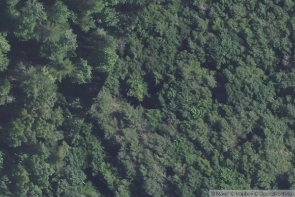 Photo of BLUEBERRY RIDGE
