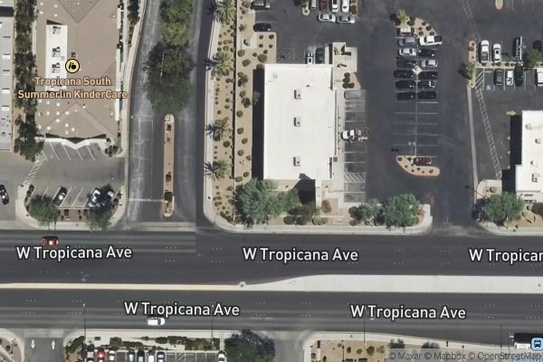 Photo of APACHE PINES