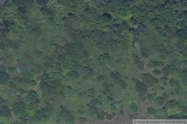 Photo of RIVER WEST PHASE IV
